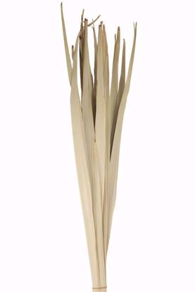 Picture of Natural Palm Reed 