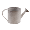 Picture of Whitewash Watering Can 5"