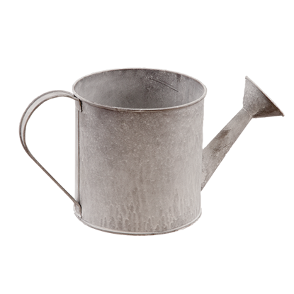 Picture of Whitewash Tin Watering Can-5"