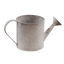 Picture of Whitewash Watering Can 5"