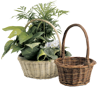 Picture of Round Willow W/Handle 8"