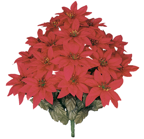 Picture of 17" Red Poinsettia Bush x 14
