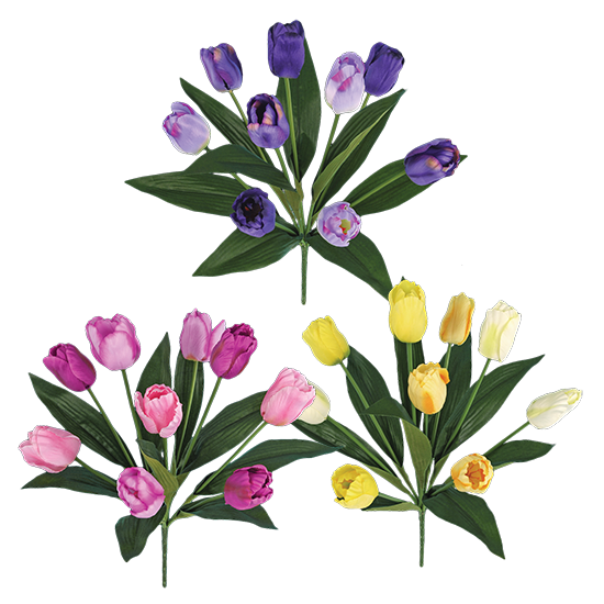 Picture of 3 Asst 18" Tulip Bush x 9