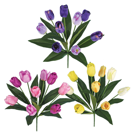 Picture of Spring Color Assortment Tulip Bush (9 Blooms, 18")