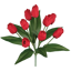 Picture of 18" Red Tulip Bush x 9
