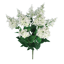 Picture of 21" White Lilac Bush x 9