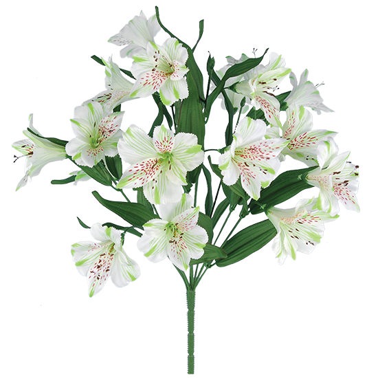 Picture of Cream & Green Alstroemeria Bush (9 Stems, 18")