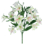Picture of 18" Alstroemeria Bush x 9