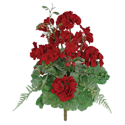 Picture of Red Geranium Bush (20")
