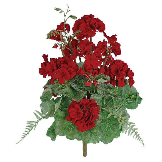 Picture of Red Geranium Bush (20")