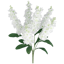 Picture of 22" White Delphinium Bush x 6