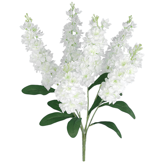 Picture of Cream White Delphinium Bush (6 Stems, 22")