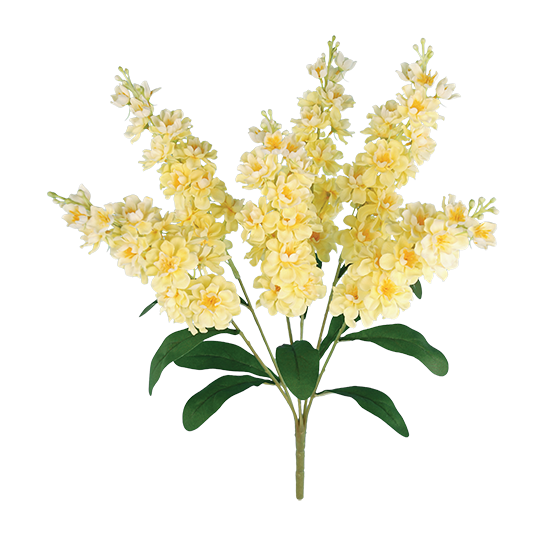 Picture of Yellow Delphinium Bush (6 Stems, 22")