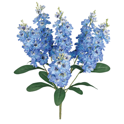 Picture of 22" Delphinium Bush x 6