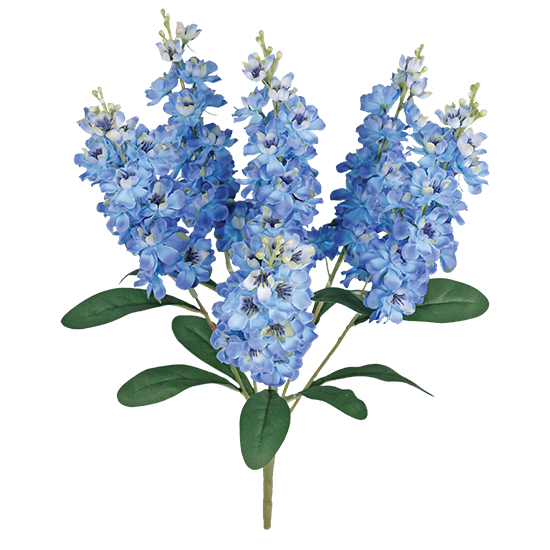 Picture of 22" Delphinium Bush x 6