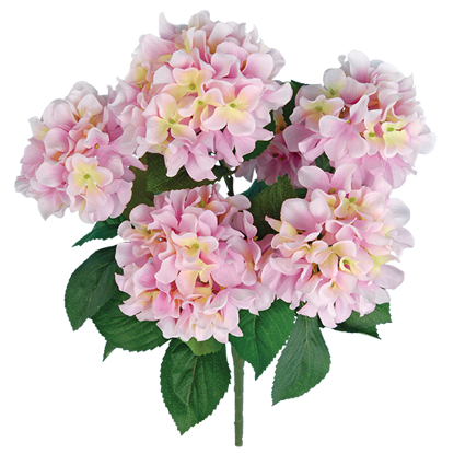 Picture of Pink Hydrangea Bush (7 Blooms, 21")