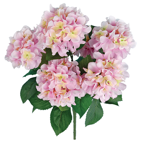 Picture of Pink Hydrangea Bush (7 Blooms, 21")