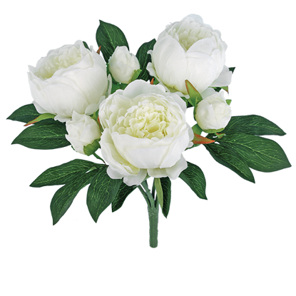 Picture of White Peony Bush (6 Blooms, 15")