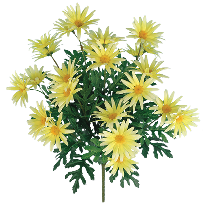 Picture of Yellow Wild Daisy Bush (12 Stems, 19")