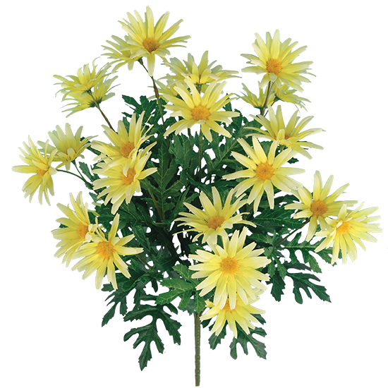 Picture of Yellow Wild Daisy Bush (12 Stems, 19")