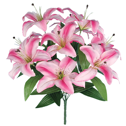 Picture of Pink Tiger Lily Bush (9 Blooms, 18")