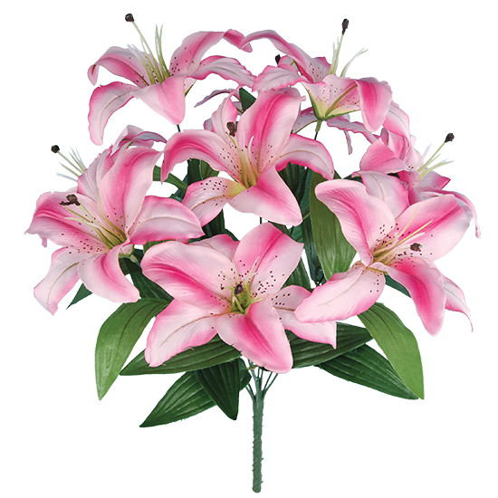 Picture of Pink Tiger Lily Bush (9 Blooms, 18")