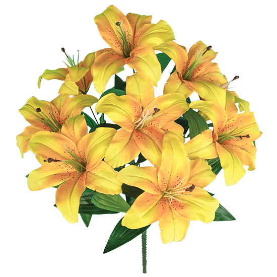 Picture of Yellow Tiger Lily Bush (9 Blooms, 18" )