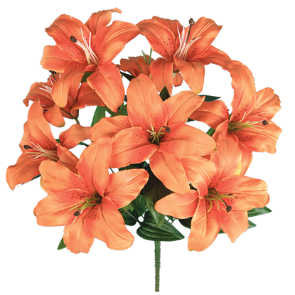 Picture of Orange Tiger Lily Bush (9 Blooms, 18")
