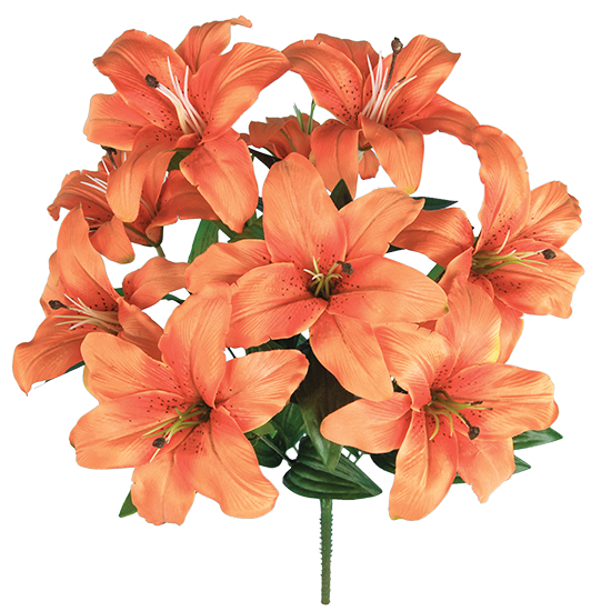 Picture of 18" Tiger Lily Bush x 9
