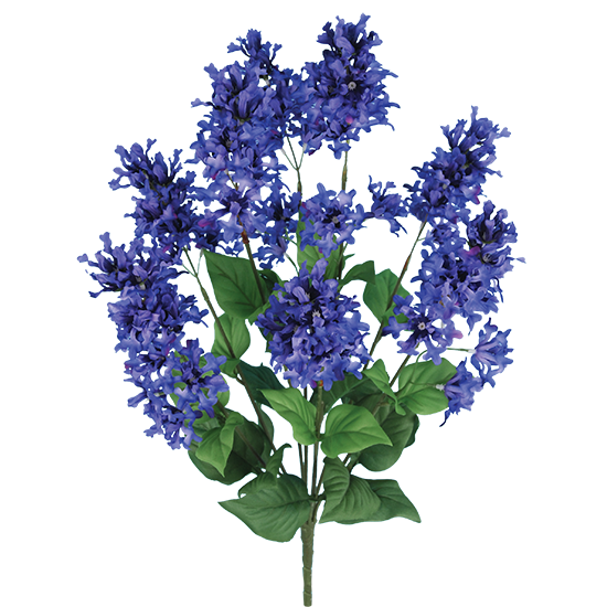 Picture of Lavender Lilac Bush (8 Stems, 23")