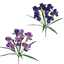 Picture of 2 Asst 19" Iris Bush x 7