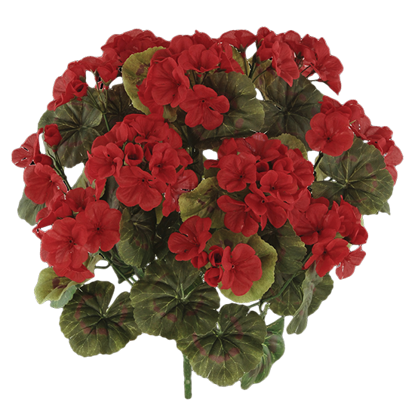 Picture of Red Geranium Bush (14 Stems, 18")