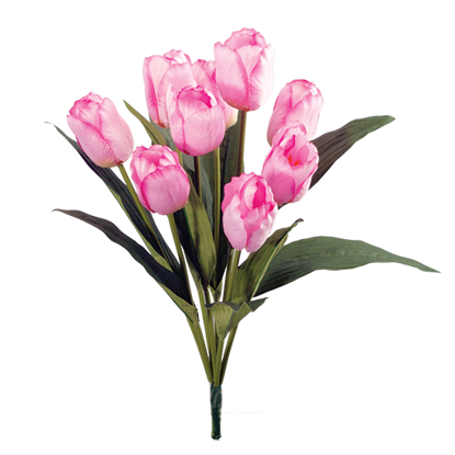 Picture of Pink Tulip Bush (9 Blooms, 18")