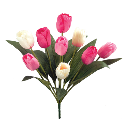 Picture of Hot Pink & Cream Tulip Bush (9 Blooms, 18")