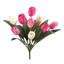 Picture of 18" Tulip Bush x 9