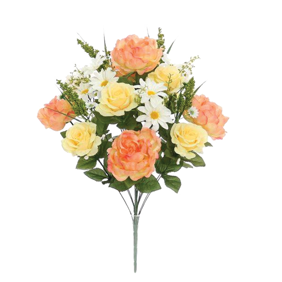 Picture of Coral, Yellow & White Rose Peony Daisy Bush (22.75")