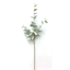 Picture of 27" Eucalyptus Spray x 3