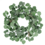 Picture of 20" Seeded Eucalyptus Plastic Wreath