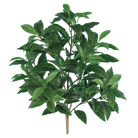 Picture of 22" Real Touch Lemon Leaf Bush x 5