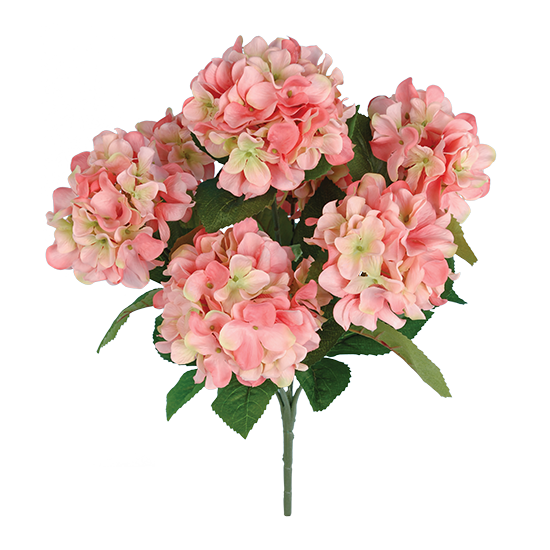 Picture of Coral Hydrangea Bush (7 Blooms, 21")