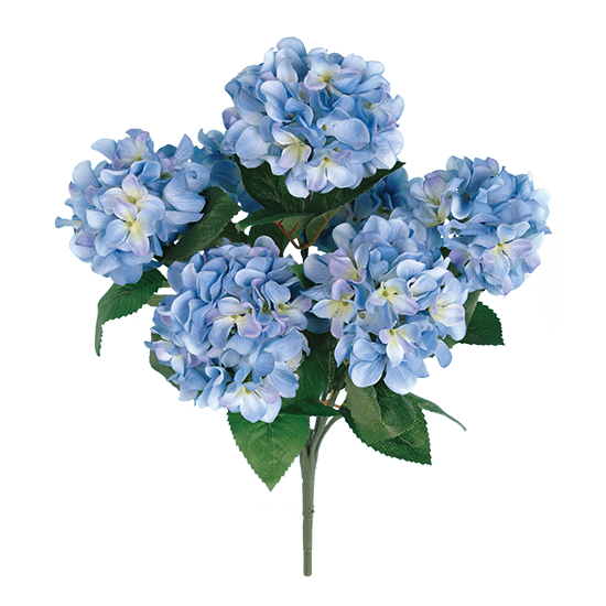 Picture of Blue Hydrangea Bush (7 Blooms, 21")