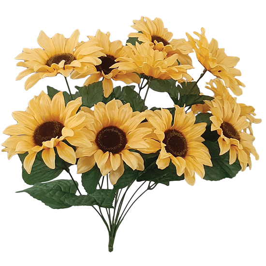 Picture of Light Yellow Sunflower Bush (11 Blooms, 18")