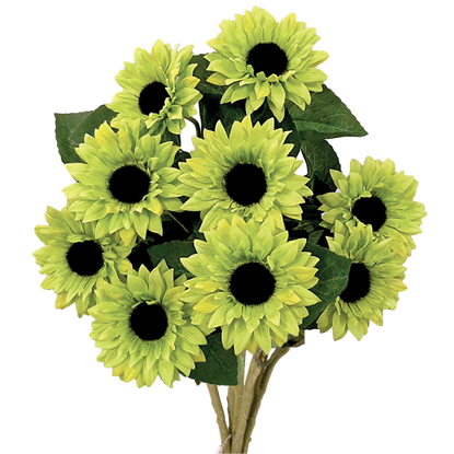 Picture of Green Sunflower Bush (9 Blooms, 19")
