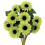 Picture of 19" Sunflower Bush x 5