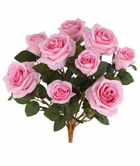 Picture of Pink Garden Rose Bush (9 Blooms, 15")