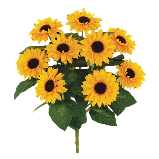 Picture of Yellow Sunflower Bush (5 stems, 19")