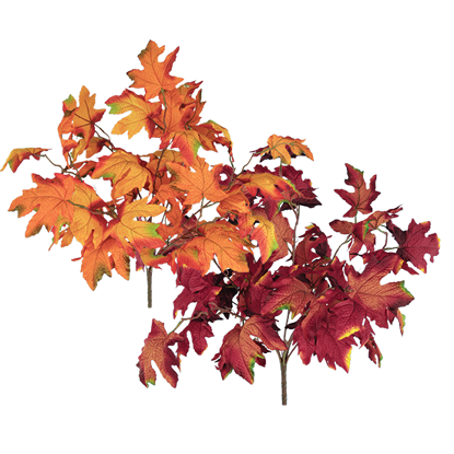 Picture of 2 Asst 20" Maple Leaf Bush