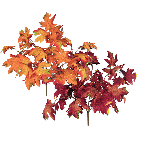 Picture of 2 Asst 20" Maple Leaf Bush