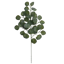 Picture of 25" Silver Dollar Eucalyptus Spray x 6