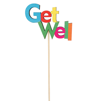 Picture of Get Well Pick
